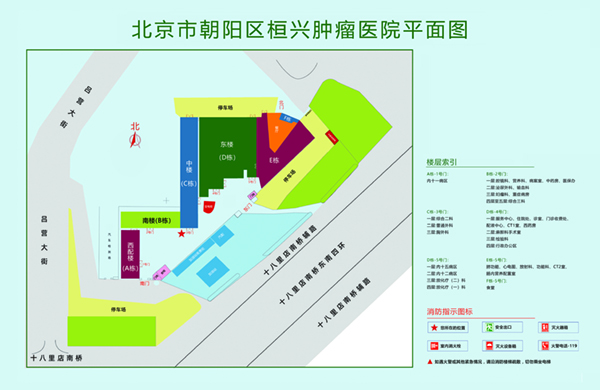 用力操不要停的操逼视频北京市朝阳区桓兴肿瘤医院平面图